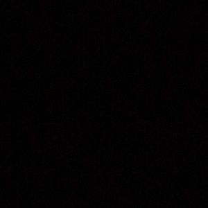 Meet your Posher, Lily